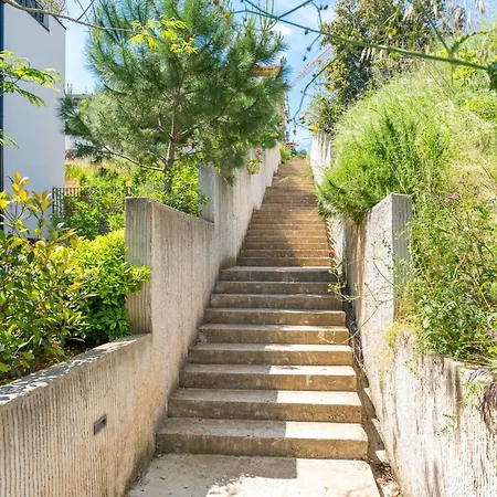 Apartman Marcus Mai *